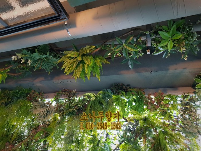 01d077e6da11611cc217ca18cc794f1e.jpg