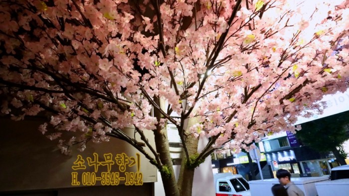 1558ecded9bcd2d261fc713abc3b6164.JPG