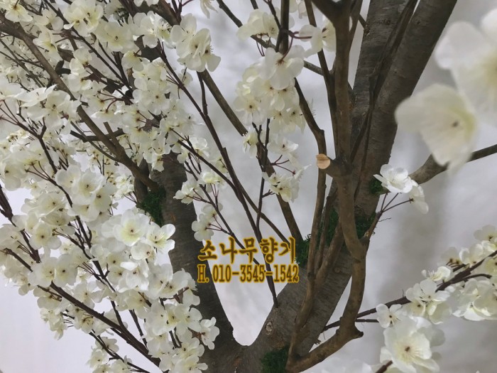 2ff1171aff31e21055f3ef9bc25176d2.jpg