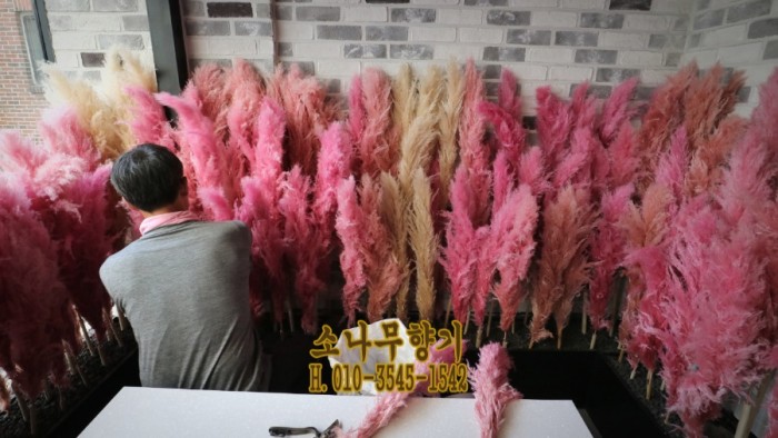 6cf0acabc3fbd4b659c183ad8c76b6e0.JPG