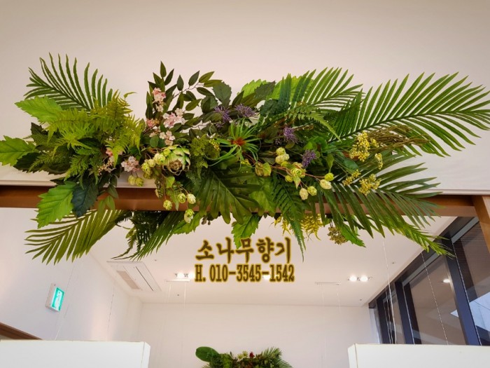 7ab5423b8f80bdc44ca7ed1079152cb8.jpg