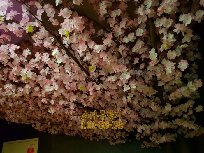 8bcb8e863a12e84d8d962b7cb6030ddc.jpg