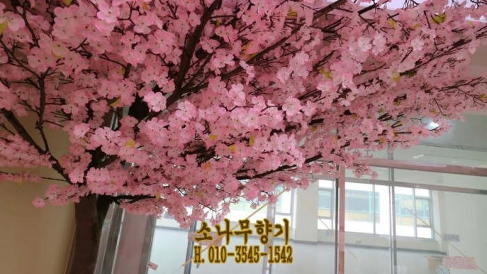 b2ea7377ab3b97ca92e3731b6a47a22a.JPG
