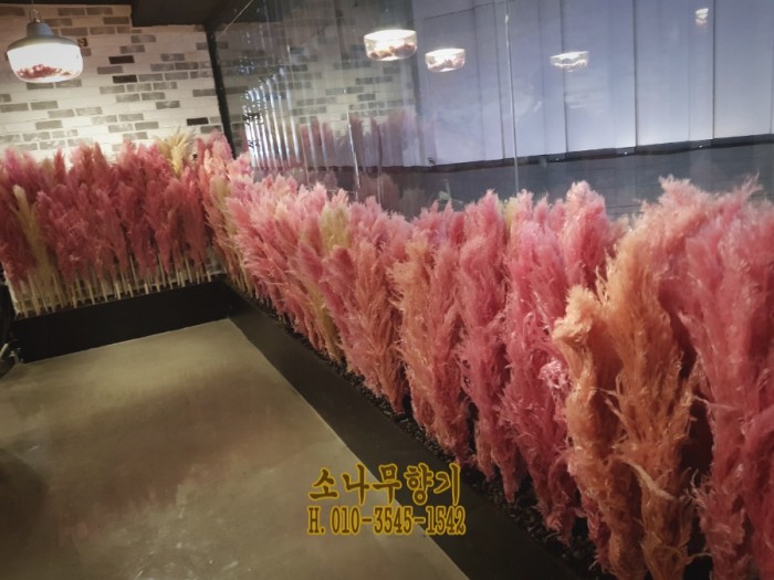 c63e1184b424a4614ae5cd0709a7a352.jpg