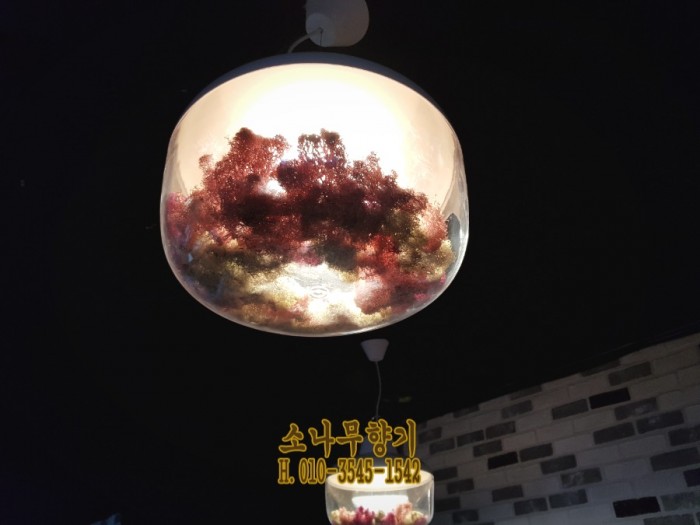 d11d926ed9c6f882aeb087a9525a18ca.jpg