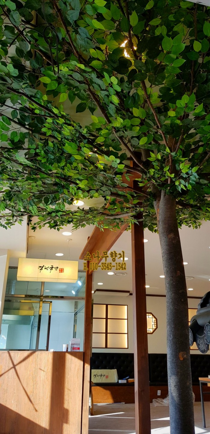 d832ae218d6c33bf18a08283b2e20ba8.jpg